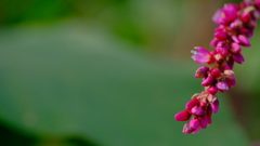 201205-9