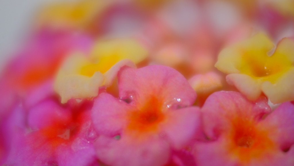 201103-8