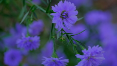 201128-4