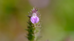 201128-8