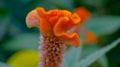 201227-7
