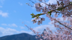 flower8901