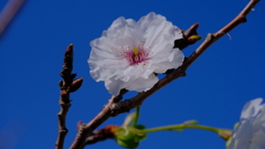 201128-10