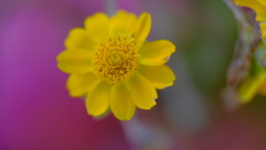 201123-8
