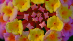 201103-7