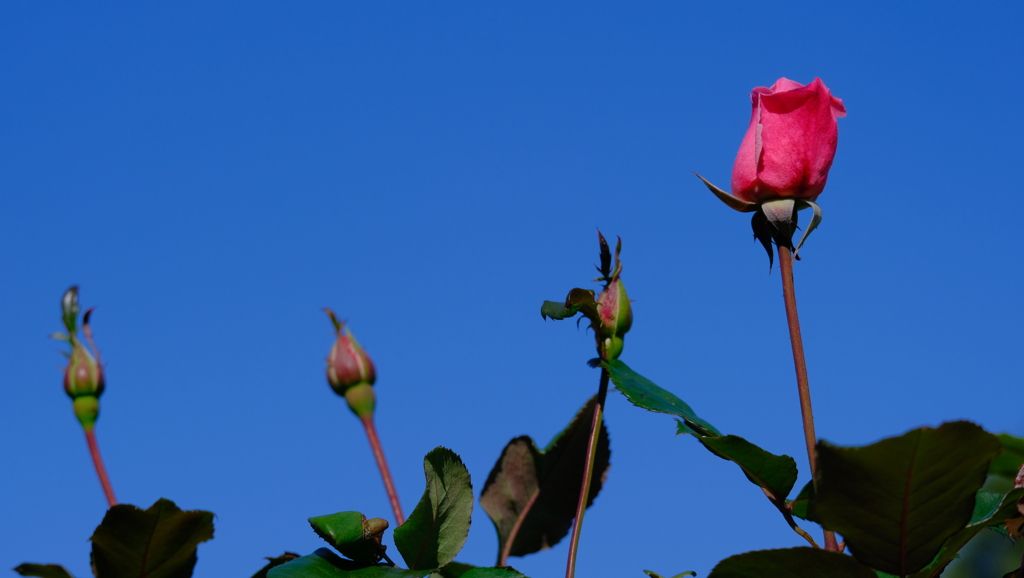201128-3