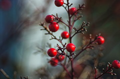 berry6923