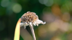 201128-9