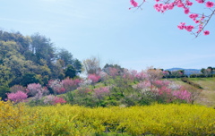 flower8924