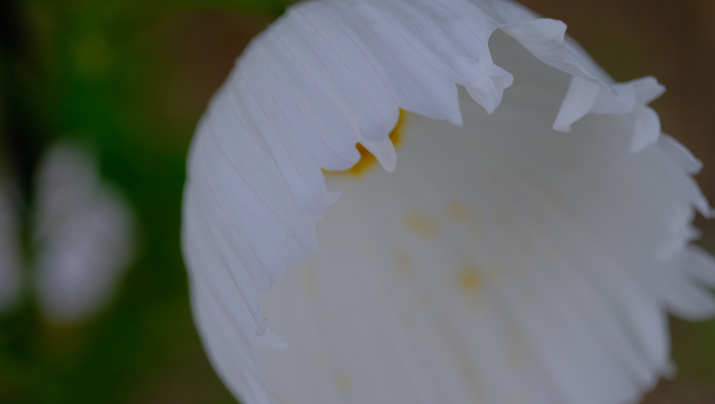 201212-3