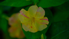 201123-5