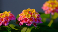 201103-5