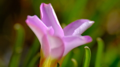 201115-4