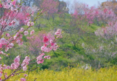 flower8922