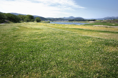 flower05294