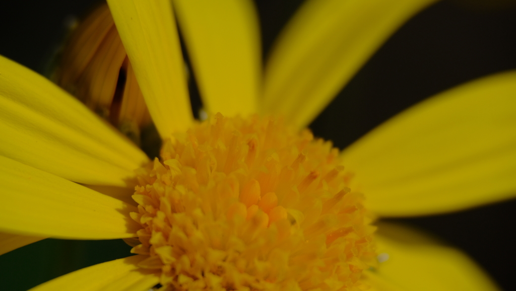 201128-1