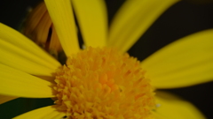 201128-1