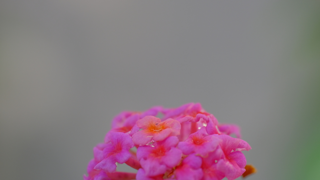 201103-9