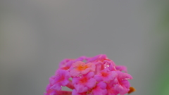 201103-9
