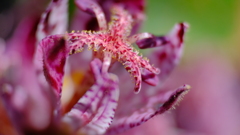 201205-1