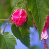 berry8196
