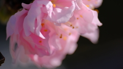 201115-9