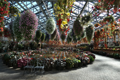 flower1002363
