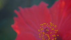 201123-3