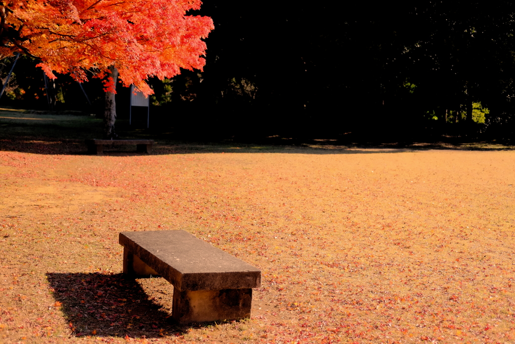 tree0196