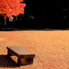 tree0196