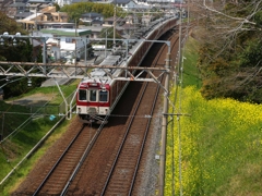flower1000974