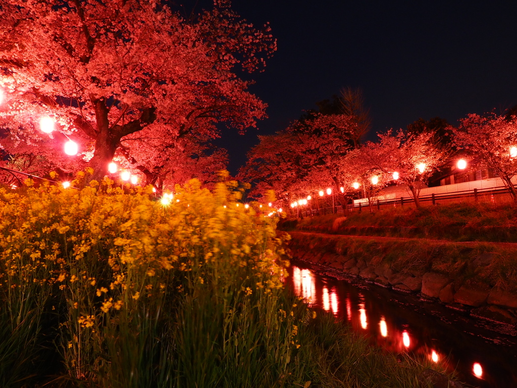 真岡の夜(1)