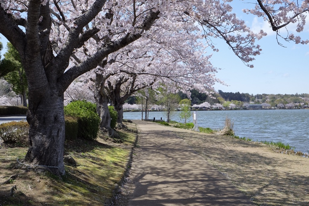 184C5D78-7A3C-44BA-AA79-161DB5013FEB