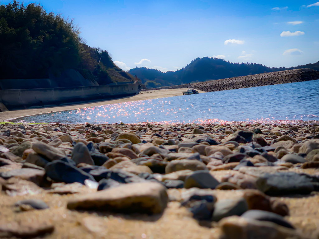 冬の海