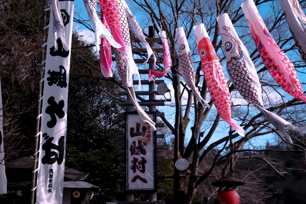 山賊
