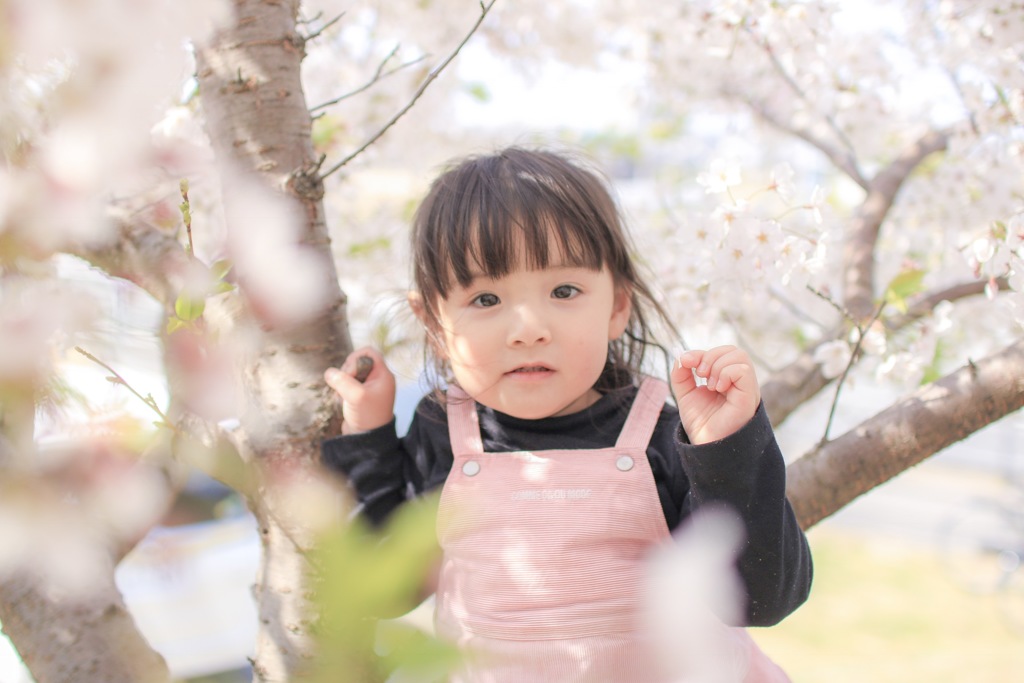 桜とムスメ。