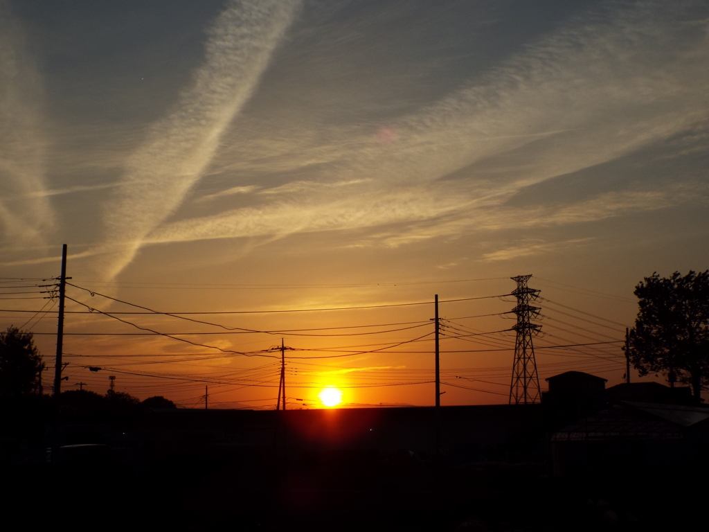 DSCF3582
