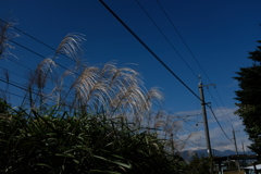秋空