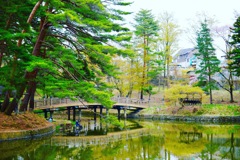 近くの公園