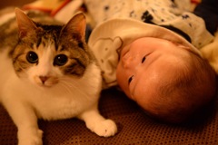 猫と赤ちゃん