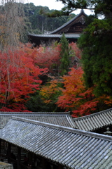 長谷寺