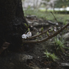 雨上がり　公園_