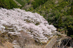 和歌山　広川ダム