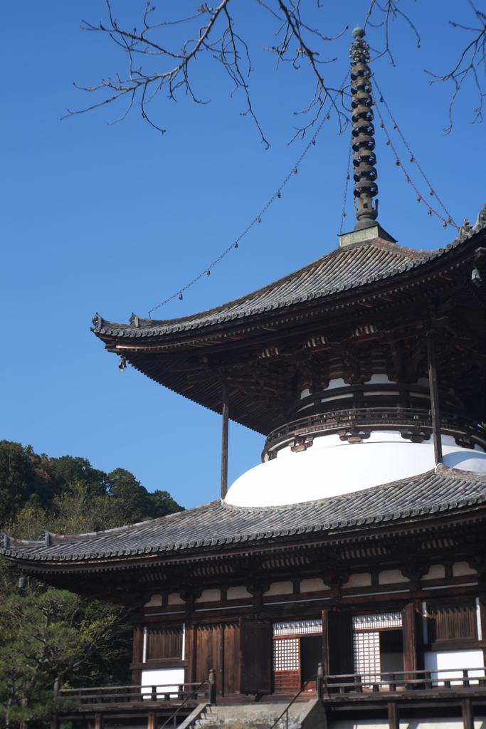 和歌山県岩出市　根来寺　大塔