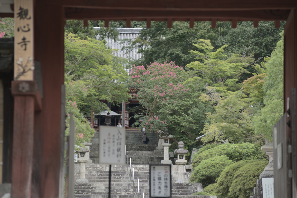 20190806 大阪府河内長野市観心寺_