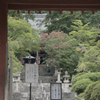 20190806 大阪府河内長野市観心寺_