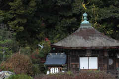 和歌山県岩出市　根来寺　聖天堂