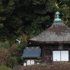 和歌山県岩出市　根来寺　聖天堂