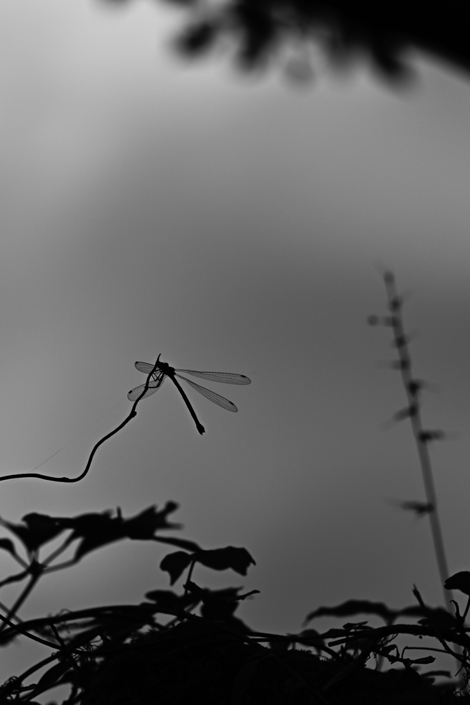 宇陀　龍王ヶ淵__03