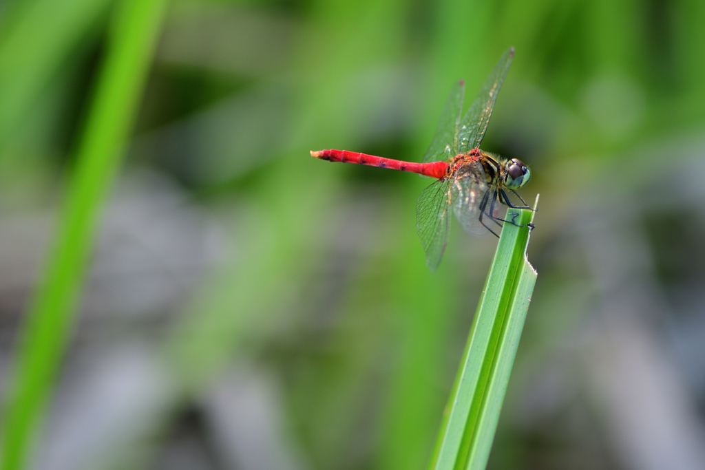宇陀　龍王ヶ淵__07